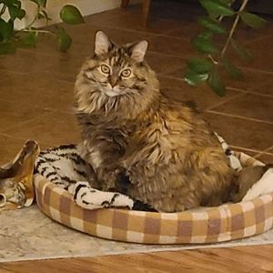 Meet your Posher, Wendy